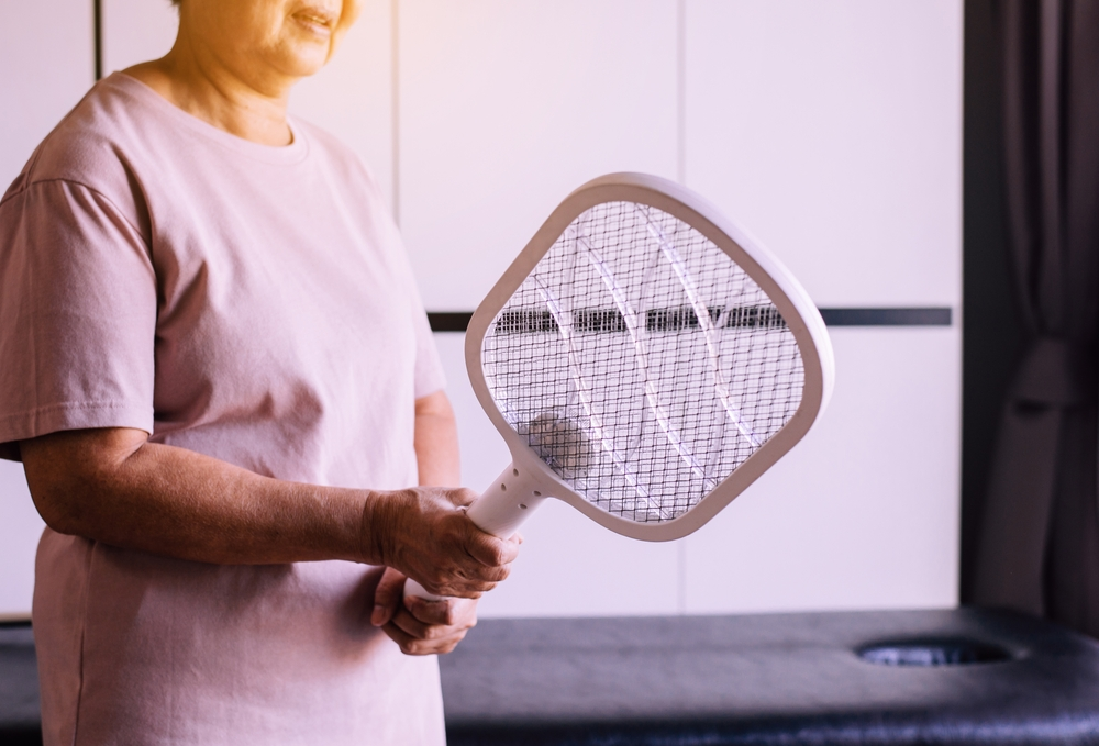 How to Keep Flies Out of Your House