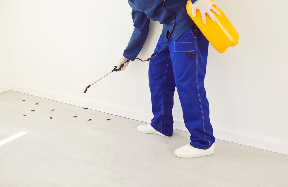 Your Guide to the Top 5 Pest Control Providers in Lexington, KY
