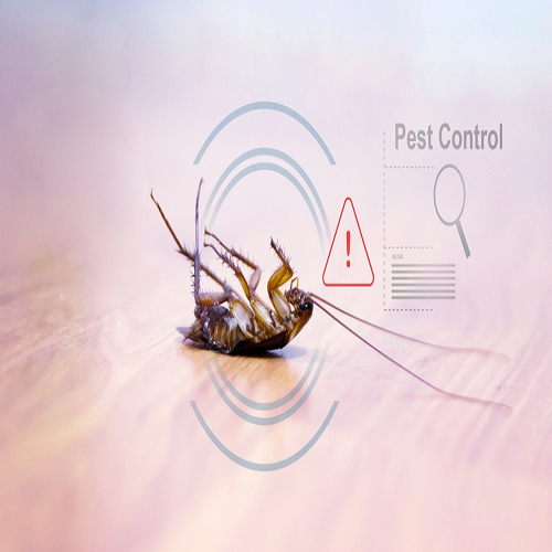 Best Pest Control for Roaches: Proven Methods to Eliminate Infestations